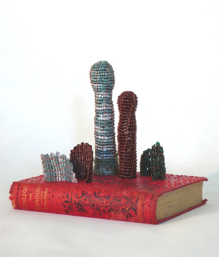 Book with Cordyceps 1a