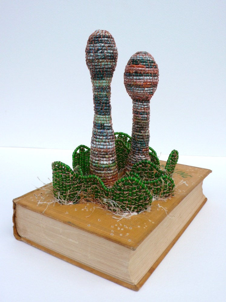 Book with Cordyceps 3b