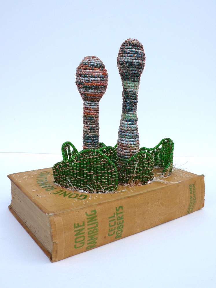 Book with Cordyceps 3c