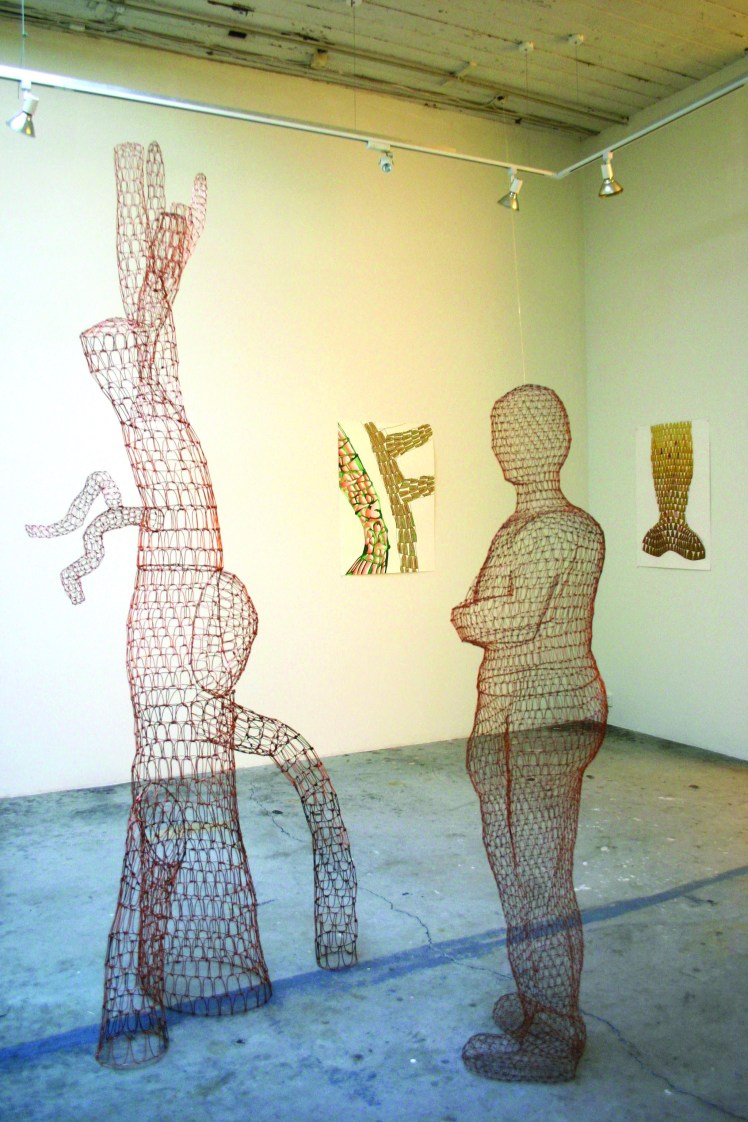 Install View Solo 2006 no1