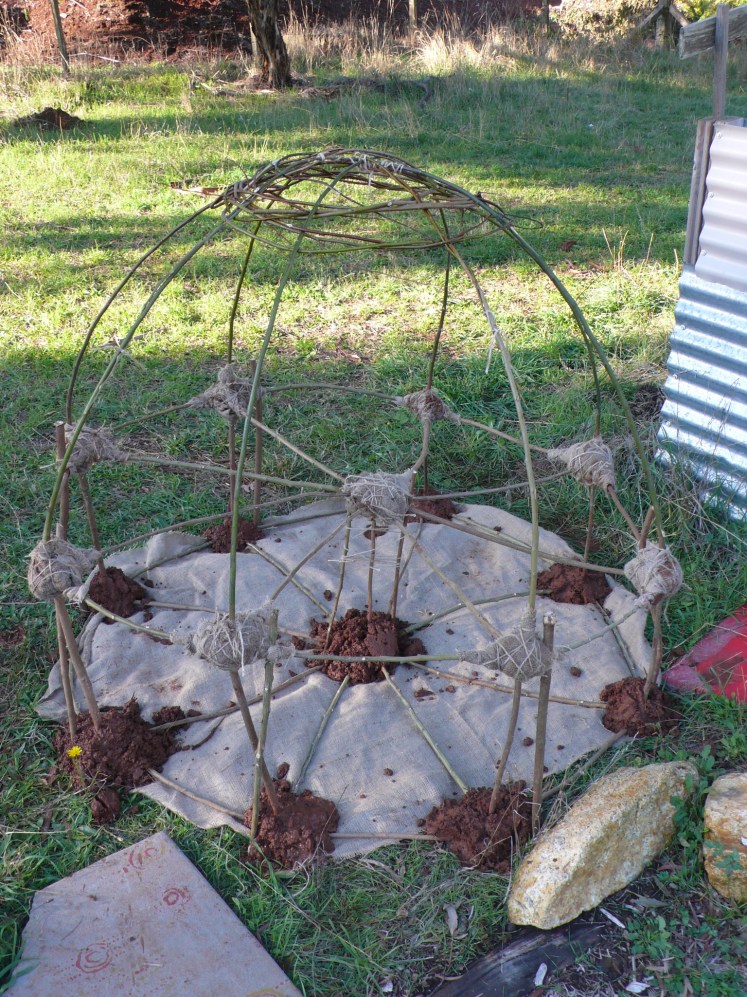 The Birdcage Grows 2