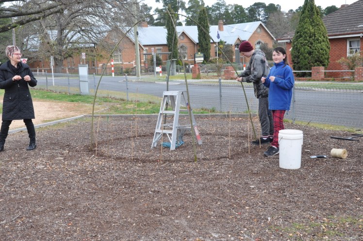 UNADJUSTEDNONRAW_thumb_3df6