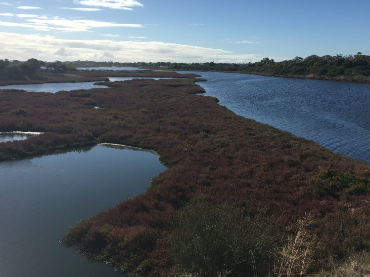 2820097D-158F-4955-857E-4ED3CEBDCFAB