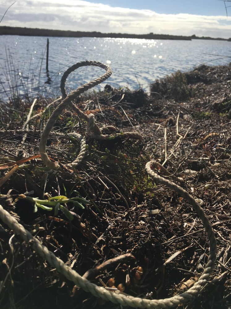 399BFE10-B70C-4EC3-A4AA-645591067901