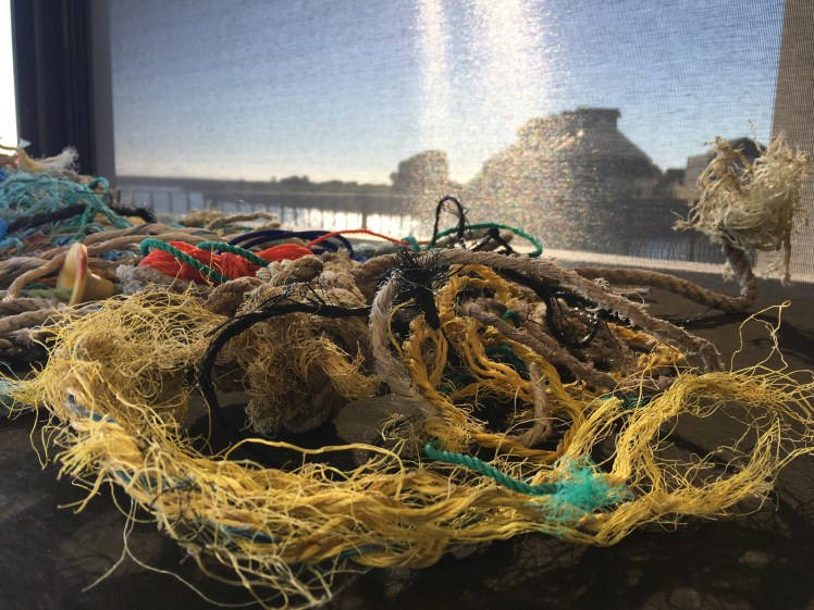 8E62823A-881B-46F0-ADA5-D0638A21E98B