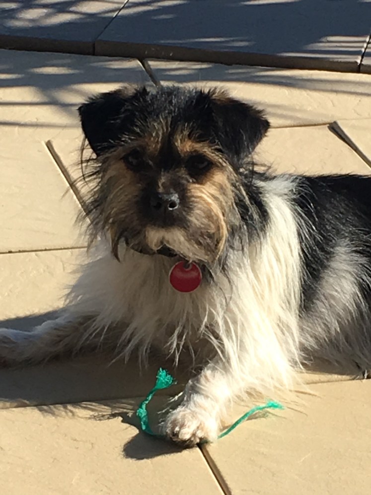 ACD5608C-D121-425B-8288-19D40A72B867