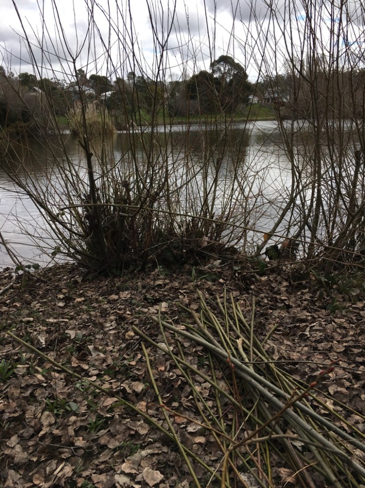 UNADJUSTEDNONRAW_thumb_4874