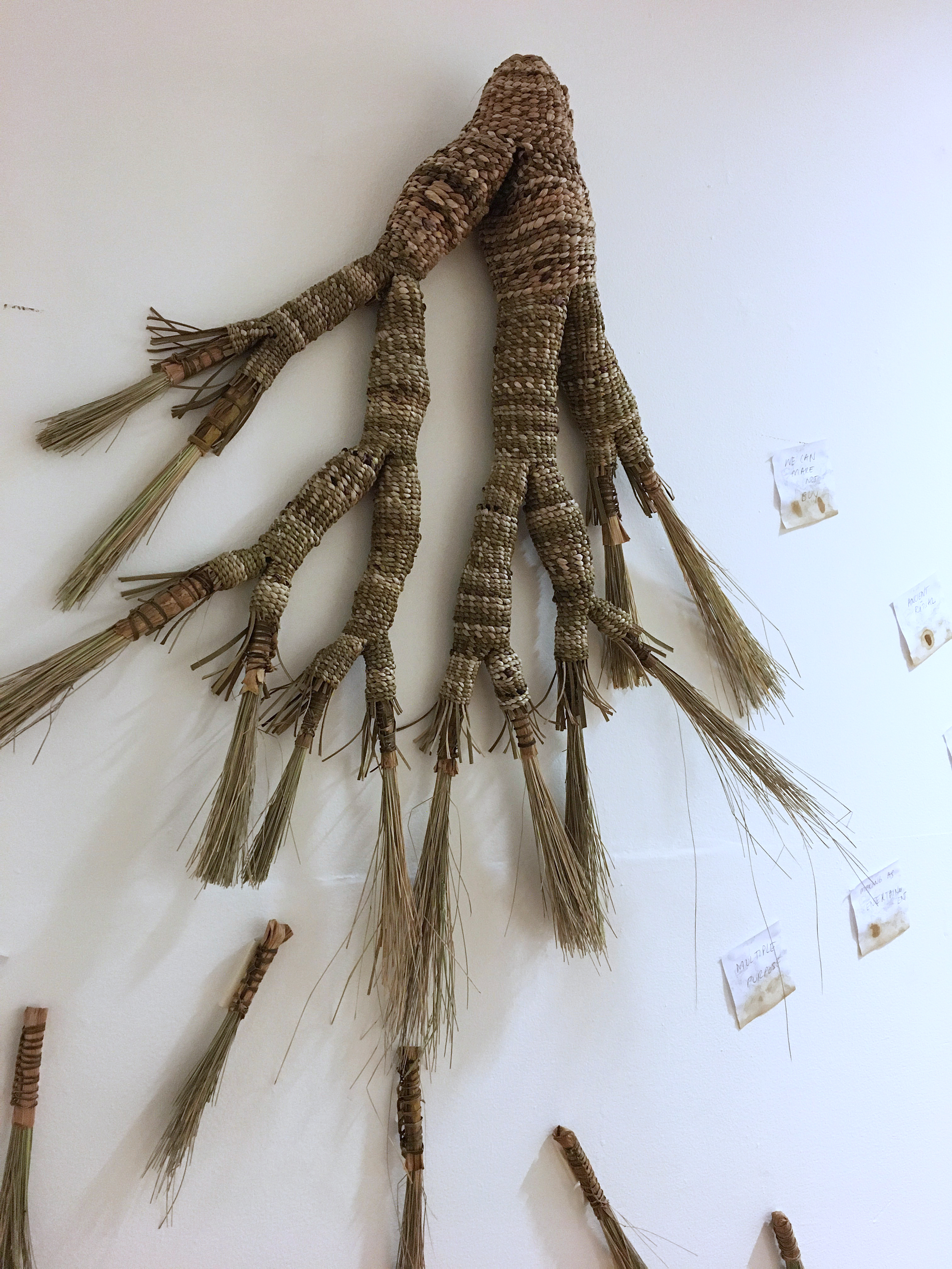 Collaborative Nourishment 1