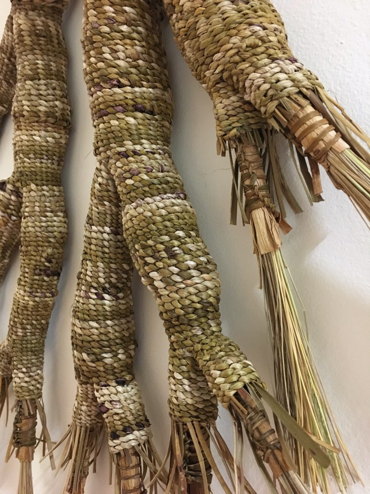 Collaborative Nourishment 2